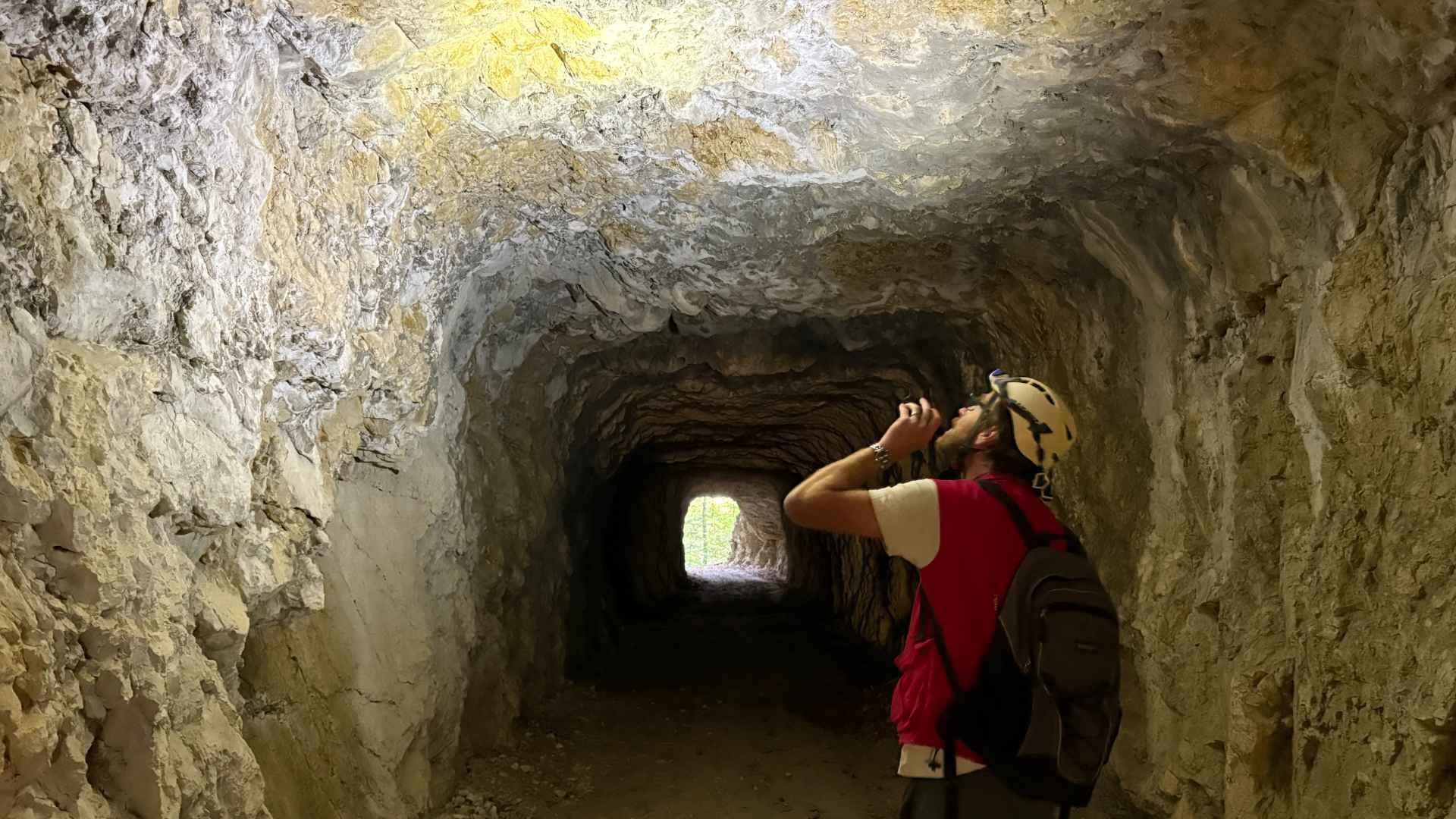 Jouer à cache-cache avec les chauves-souris